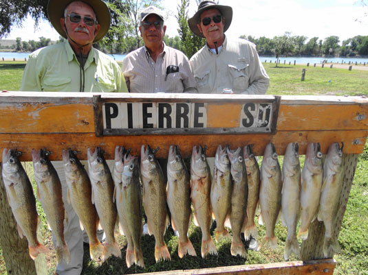 Lakes Oahe/Sharpe Pierre area fishing report for July 21th to the 24th 2013