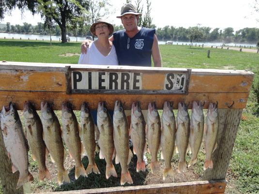 Lakes Oahe/Sharpe Pierre area fishing report for Aug11th and 12th 2013