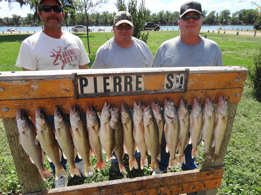 Lakes Oahe/Sharpe Pierre area fishing report for August 29th thru Sept. 1st 2013