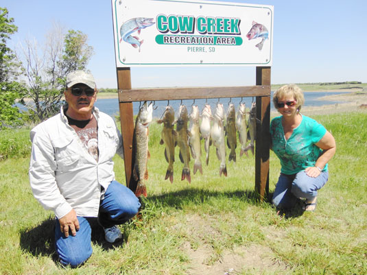 Lakes Oahe/Sharpe Pierre SD fishing report for May 26th thru 29th 2014