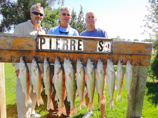 Fishing Report for Lakes Oahe/Sharpe Pierre Area