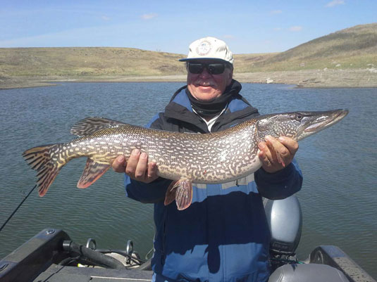 Lakes Oahe/Sharpe Pierre area fishing report for April 23rd to May 2nd 2015