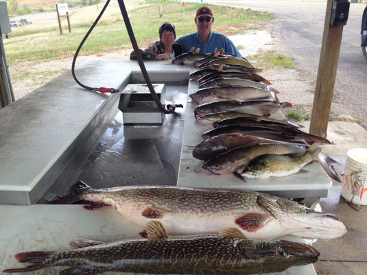 Fishing Report Lakes Oahe/Sharpe Pierre area for May 11th thru the 13th 2015