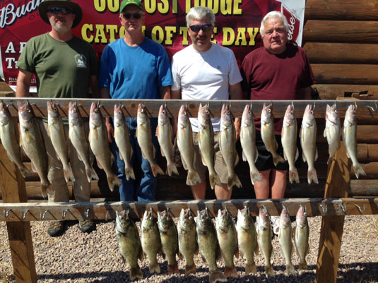 Fishing Report Lakes Oahe/Sharpe Pierre area for June 29th and 30th