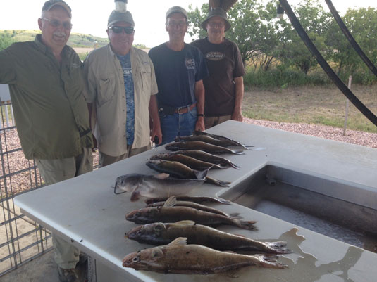 Lakes Oahe/Sharpe fishing report for July 30th and 31th 2015