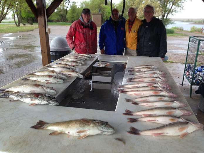 Fishing Report Lakes Oahe/Sharpe Pierre are for May 7th thru the 11th 2016