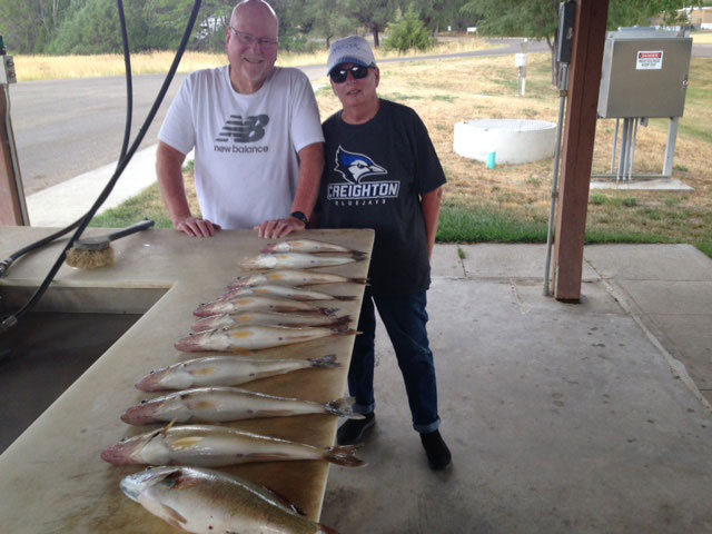 FISHING REPORT LAKES OAHE/SHARPE PIERRE AREA JUNE 22ND TO JUNE 29 2016