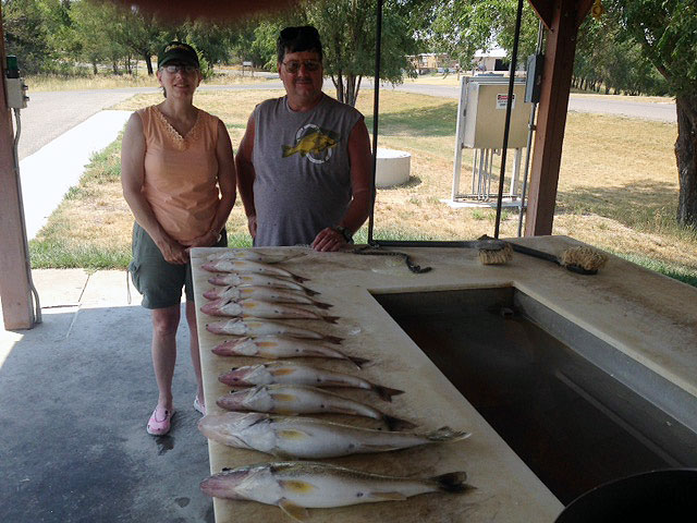 FISHING REPORT LAKES OAHE/SHARPE AUGUST 1ST TO THE 13TH 2016