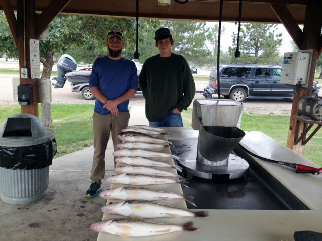FISHING REPORT LAKES OAHE/SHARPE PIERRE AREA SEPT 11th thru the 14th 2016