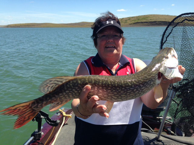 FISHING REPORT LAKES OAHE/SHARPE PIERRE AREA AUGUST 3RD TO THE 5TH 2017