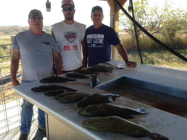 FISHING REPORT LAKES OAHE/SHARPE PIERRE AREA FOR LAST OF AUGUST AND FIRST WEEK OF SEPTEMBER
