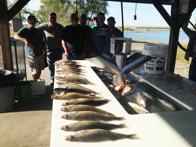 FISHING REPORT LAKES OAHE/SHARPE PIERRE AREA FOR SEPTEMBER 11TH THRU THE 20TH 2017