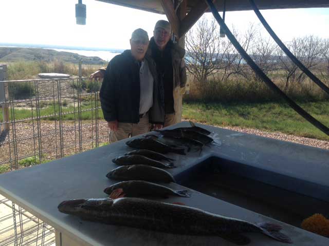 FISHING REPORT LAKES OAHE/SHARPE PIERRE AREA FOR OCTOBER 3RD THRU THE 6TH 2017