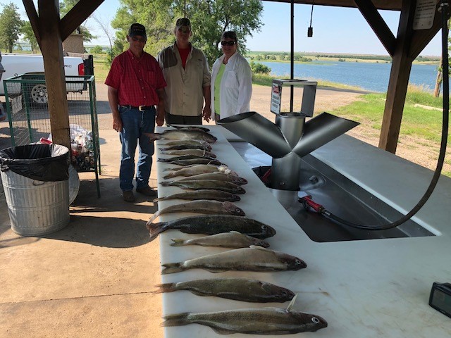 FISHING REPORT LAKES OAHE/SHARPE PIERRE AREA FOR LAST OF JUNE TO JULY 12TH 2018