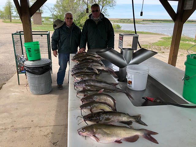 FISHING REPORT LAKES OAHE SHARPE PIERRE AREA FOR MAY AND FIRST 13 DAYS IN JUNE 2018