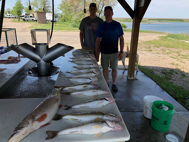 FISHING REPORT LAKES OAHE SHARPE PIERRE AREA FOR MAY AND FIRST 13 DAYS IN JUNE 2018