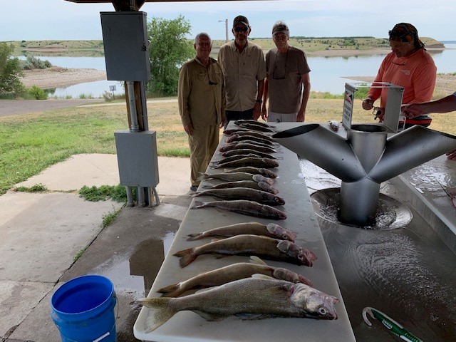 FISHING REPORT LAKES OAHE/SHARPE PIERRE AREA FOR JUNE 15TH THRU JUNE 24TH 2021